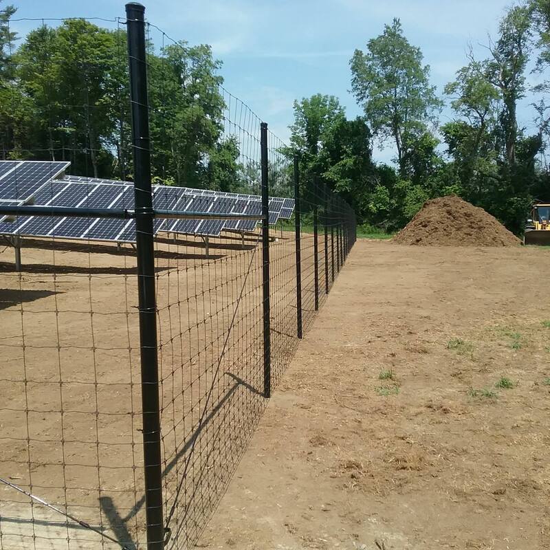 Welded wire fencing surrounding solar panels
