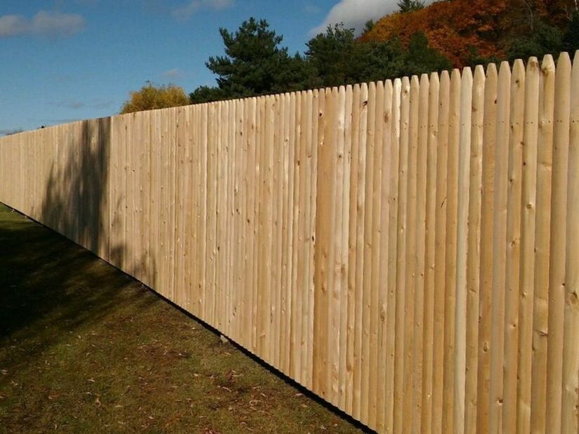 Stockade cedar fence around yard